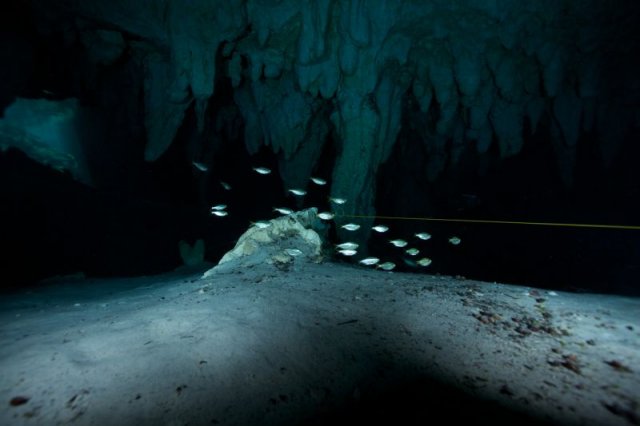 berge von innen mexiko 4